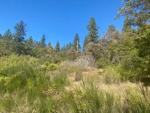 0 Natures Way, Colfax, CA 95736 photo 7