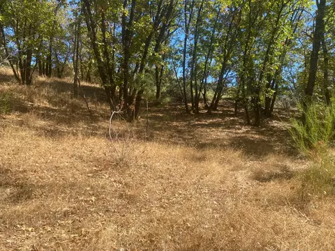 0 Natures Way, Colfax, CA 95736 photo 11