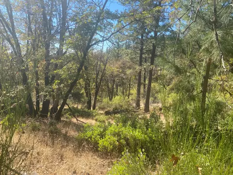 0 Natures Way, Colfax, CA 95736 photo 3