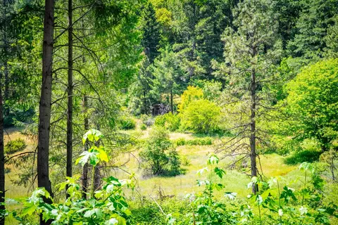 2 Volcanoville Rd, Georgetown, CA 95634 photo 8