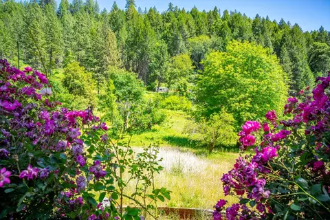 2 Volcanoville Rd, Georgetown, CA 95634 photo 11