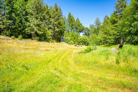 2 Volcanoville Rd, Georgetown, CA 95634 photo 9