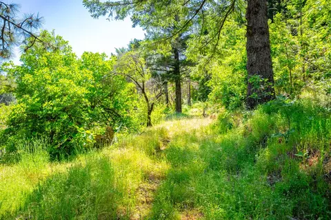 2 Volcanoville Rd, Georgetown, CA 95634 photo 12