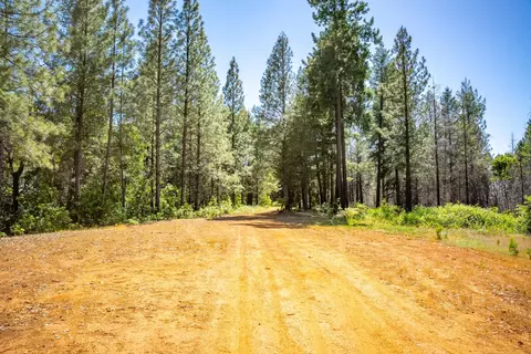2 Volcanoville Rd, Georgetown, CA 95634 photo 15