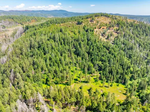 2 Volcanoville Rd, Georgetown, CA 95634 photo 24