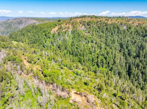 2 Volcanoville Rd, Georgetown, CA 95634 photo 25