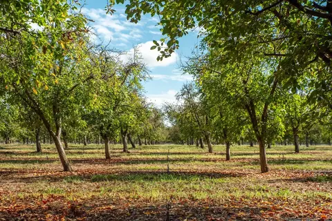 Other - Undisclosed, Red Bluff, CA 96080 photo 4 of 16