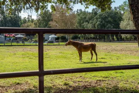 Other - Undisclosed, Red Bluff, CA 96080 photo 10 of 16