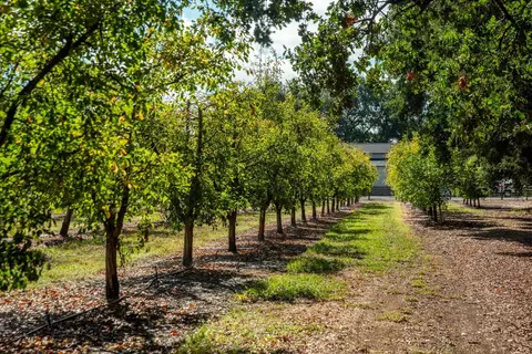 Other - Undisclosed, Red Bluff, CA 96080 photo 3 of 16