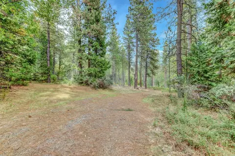 12566 Allison Ranch Rd, Grass Valley, CA 95949 photo 85