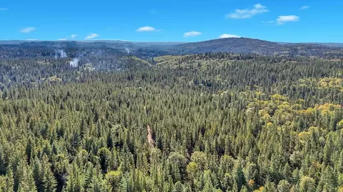 12566 Allison Ranch Rd, Grass Valley, CA 95949 photo 44