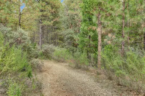 12566 Allison Ranch Rd, Grass Valley, CA 95949 photo 76