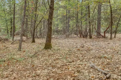 12566 Allison Ranch Rd, Grass Valley, CA 95949 photo 59