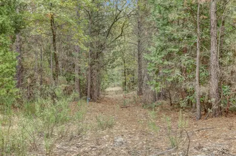 12566 Allison Ranch Rd, Grass Valley, CA 95949 photo 70