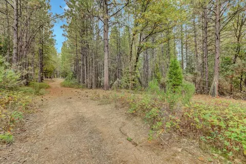 12566 Allison Ranch Rd, Grass Valley, CA 95949 photo 78