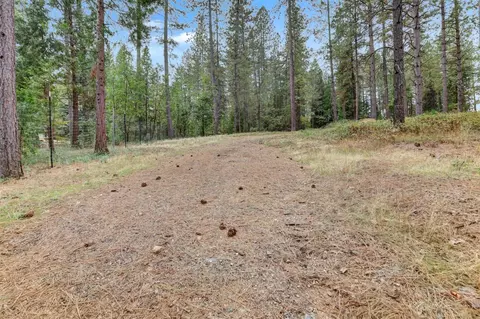 12566 Allison Ranch Rd, Grass Valley, CA 95949 photo 29