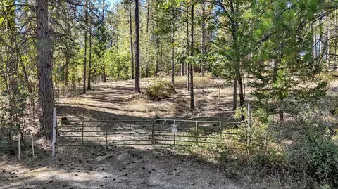 12566 Allison Ranch Rd, Grass Valley, CA 95949 photo 5
