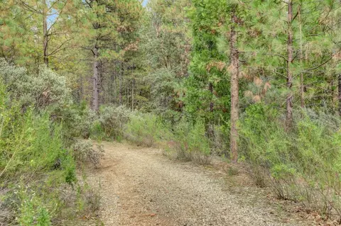 12566 Allison Ranch Rd, Grass Valley, CA 95949 photo 71