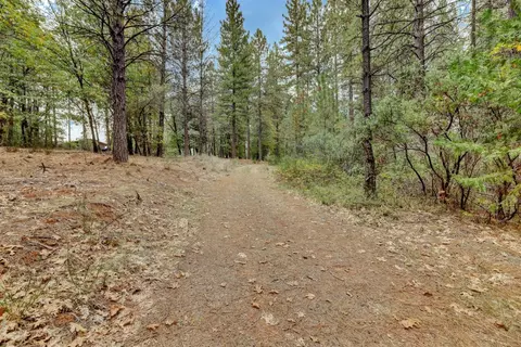 12566 Allison Ranch Rd, Grass Valley, CA 95949 photo 53