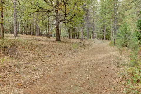 12566 Allison Ranch Rd, Grass Valley, CA 95949 photo 74
