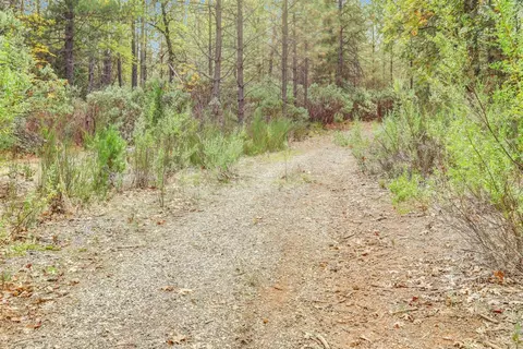 12566 Allison Ranch Rd, Grass Valley, CA 95949 photo 83