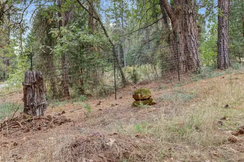 12566 Allison Ranch Rd, Grass Valley, CA 95949 photo 21