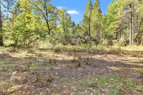 12566 Allison Ranch Rd, Grass Valley, CA 95949 photo 8