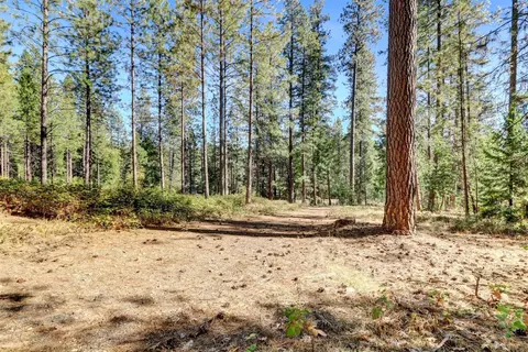12566 Allison Ranch Rd, Grass Valley, CA 95949 photo 90