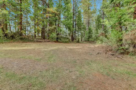 12566 Allison Ranch Rd, Grass Valley, CA 95949 photo 87