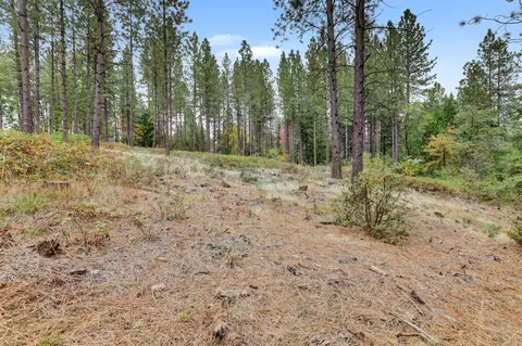 12566 Allison Ranch Rd, Grass Valley, CA 95949 photo 33