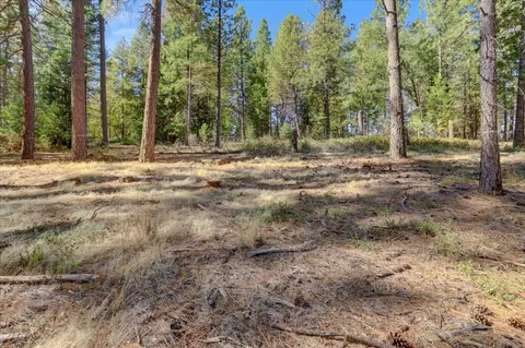 12566 Allison Ranch Rd, Grass Valley, CA 95949 photo 16