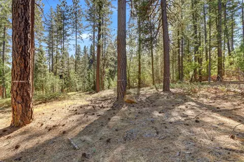 12566 Allison Ranch Rd, Grass Valley, CA 95949 photo 13
