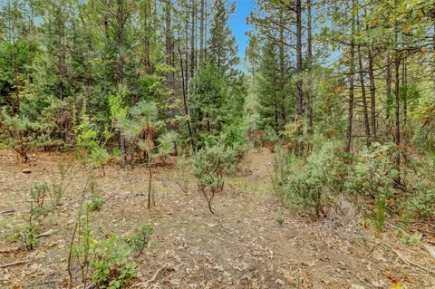 12566 Allison Ranch Rd, Grass Valley, CA 95949 photo 63