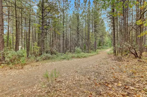 12566 Allison Ranch Rd, Grass Valley, CA 95949 photo 54