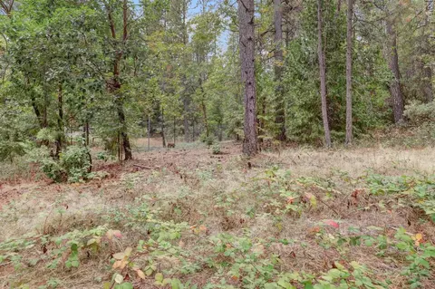 12566 Allison Ranch Rd, Grass Valley, CA 95949 photo 31