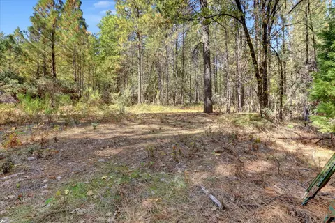 12566 Allison Ranch Rd, Grass Valley, CA 95949 photo 7
