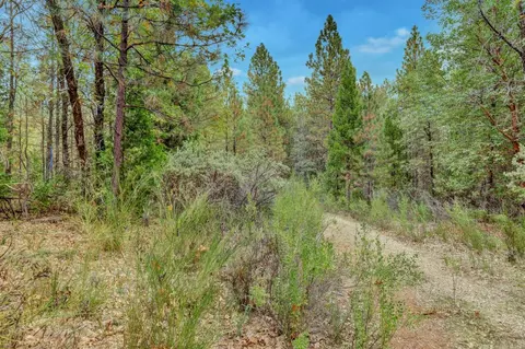 12566 Allison Ranch Rd, Grass Valley, CA 95949 photo 57