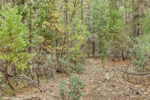 12566 Allison Ranch Rd, Grass Valley, CA 95949 photo 61
