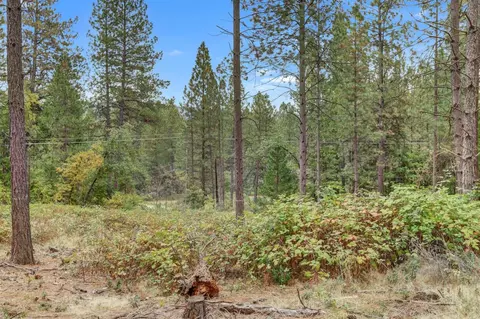 12566 Allison Ranch Rd, Grass Valley, CA 95949 photo 41