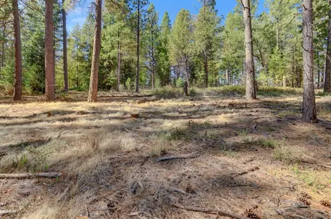 12566 Allison Ranch Rd, Grass Valley, CA 95949 photo 15