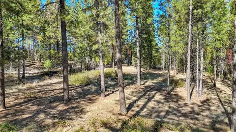 12566 Allison Ranch Rd, Grass Valley, CA 95949 photo 94