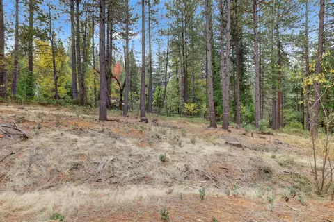 12566 Allison Ranch Rd, Grass Valley, CA 95949 photo 51