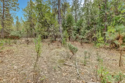 12566 Allison Ranch Rd, Grass Valley, CA 95949 photo 66
