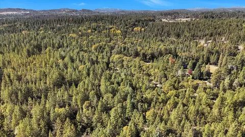 12566 Allison Ranch Rd, Grass Valley, CA 95949 photo 28