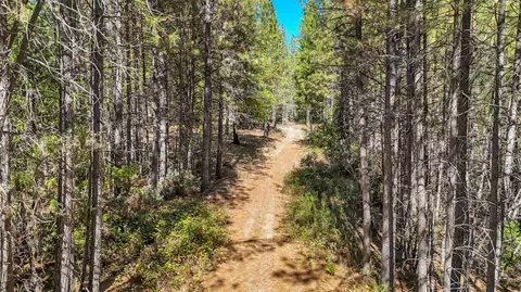 12566 Allison Ranch Rd, Grass Valley, CA 95949 photo 93