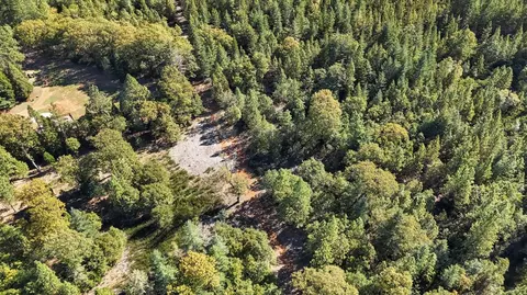 12566 Allison Ranch Rd, Grass Valley, CA 95949 photo 40