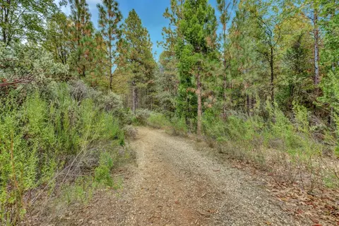 12566 Allison Ranch Rd, Grass Valley, CA 95949 photo 72