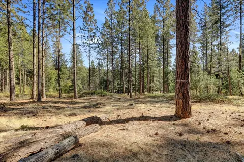 12566 Allison Ranch Rd, Grass Valley, CA 95949 photo 12