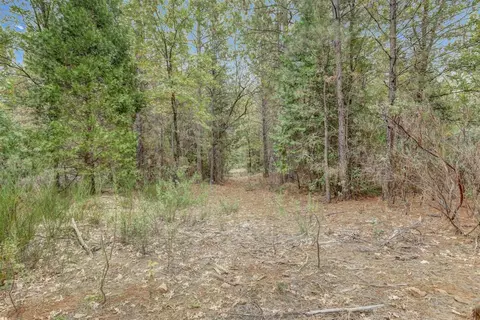 12566 Allison Ranch Rd, Grass Valley, CA 95949 photo 60