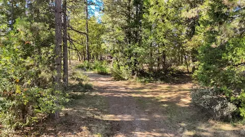 12566 Allison Ranch Rd, Grass Valley, CA 95949 photo 97